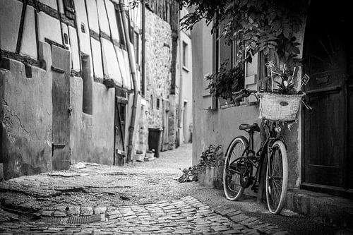 De fiets, Eguisheim