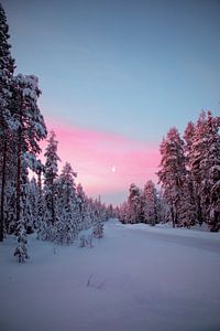 Weiße Weihnachten in Lappland von Jesse Simonis