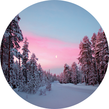 Witte Kerst in Lapland van Jesse Simonis