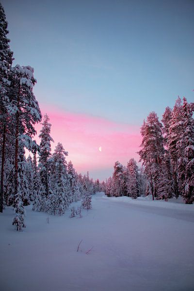 Witte Kerst in Lapland van Jesse Simonis