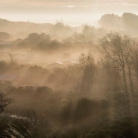 Lever de soleil sur la brume matinale sur Fotografie Egmond