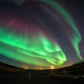 Dansend noorderlicht boven IJsland van Leo Schindzielorz