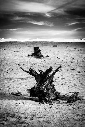 Zand en Stronken