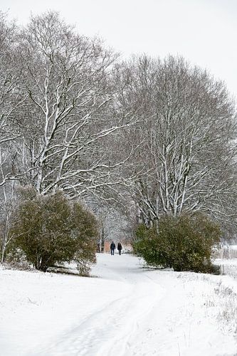 Dutch winter landscape #8 by Mark Bolijn