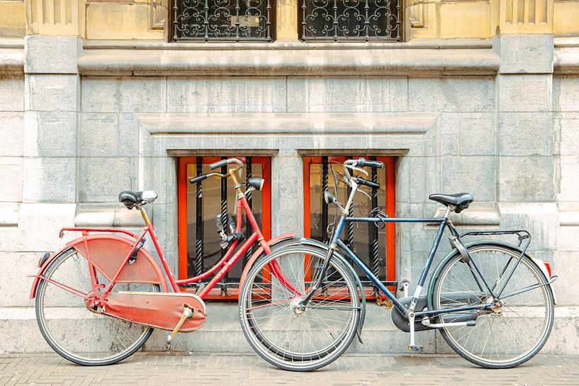 Deux bicyclettes symétriques pour deux fenêtres à La Haye par Simone Janssen