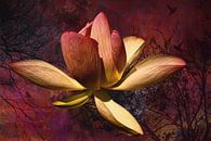 Lotusbloem met hortensia, bomen en lieveheersbeestje van Helga Blanke thumbnail