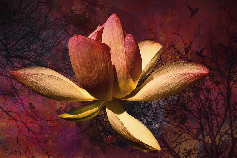 Lotusblume mit Hortensie, Bäumen und Marienkäfer von Helga Blanke