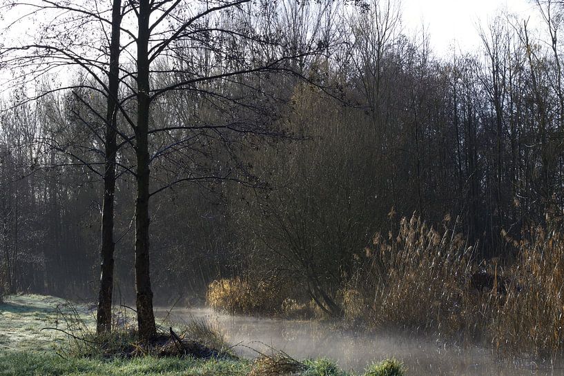 Small Dommel in morning mist by Dorien van Witteveen