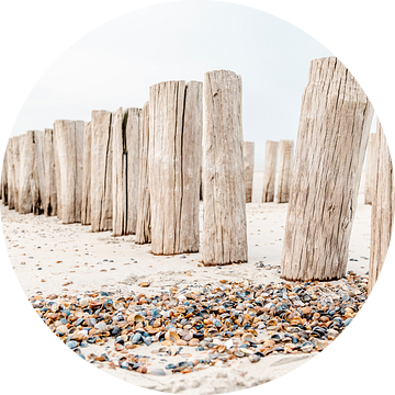 Palen en schelpen op strand Domburg -  Zeeland van Dana Schoenmaker