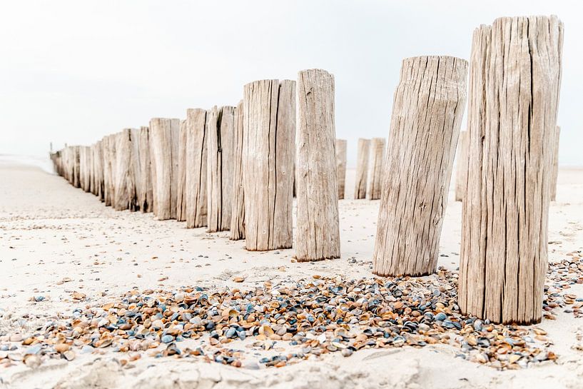 Poles and shells on the beach in Domburg by Dana Schoenmaker