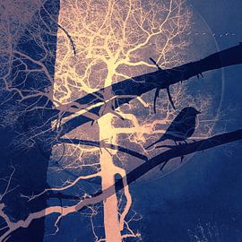 night bird by Vera Laake