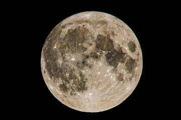 Volle maan (Blauwe super maan 31 augustus 2023) van Lizanne van Spanje