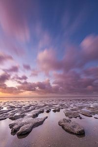 La côte des wadden près de Ternaard