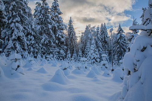 Winter Wunderland in der Schweiz
