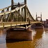 Szabadság híd (Liberty Bridge) in Boedapest van Judith van Wijk
