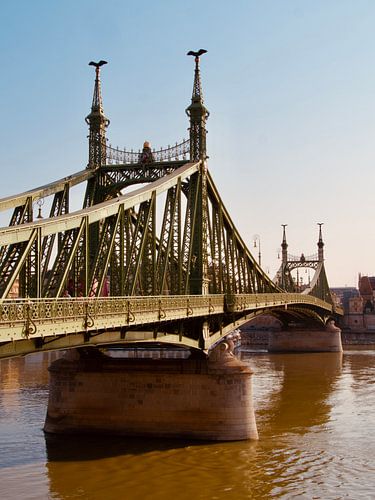 Szabadság híd (Liberty Bridge) in Boedapest