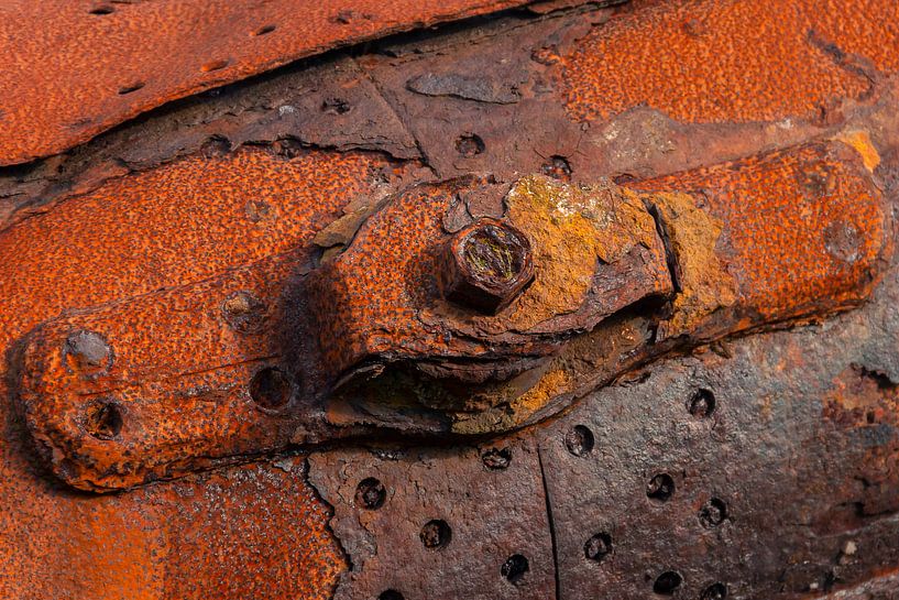 rusty by Corrie Ruijer