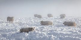 winter landscape by Ko Hoogesteger
