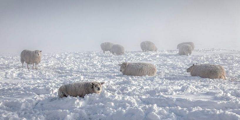 winterlandschap van Ko Hoogesteger