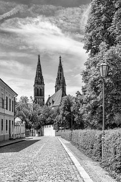 Petrus en Pauluskerk Vyšehrad in Praag | Monochroom van Melanie Viola