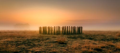 Grave mound in the mist.