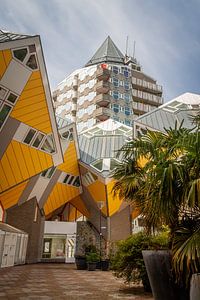 Blaaktoren met Kubuswoningen