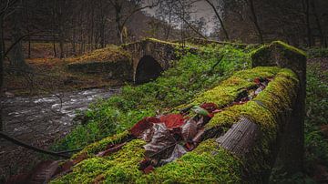 In de herfst als de bladeren fluisteren - Alte Poststraße Weitenegg bij Melk Oostenrijk van Robert Knapp Fotografie