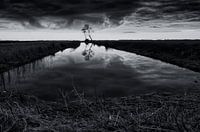 Between lake and forest (2)