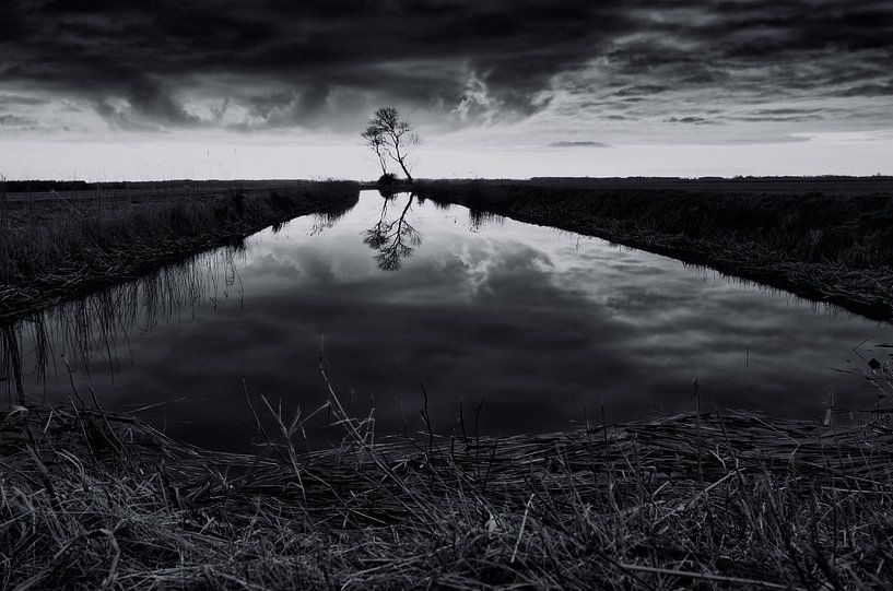 Between lake and forest (2) by Remco de Vries