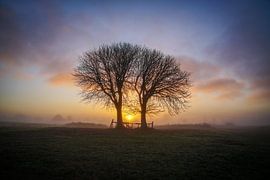 Beautiful couple by Dirk van Egmond