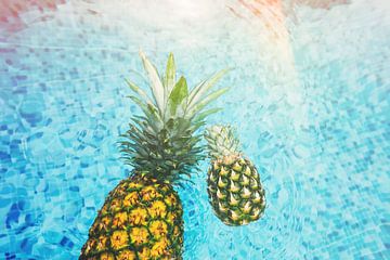 ananas in zwembad van Fela de Wit