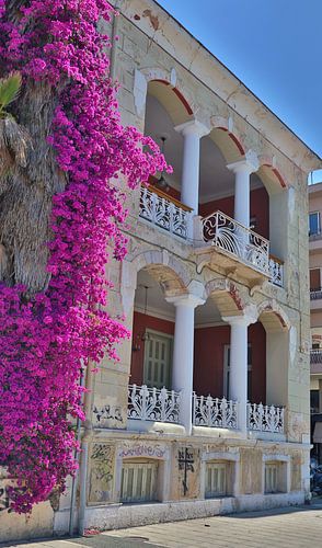 Bougainville at a fine building in Kalamata
