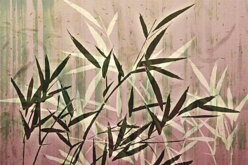 Bamboo