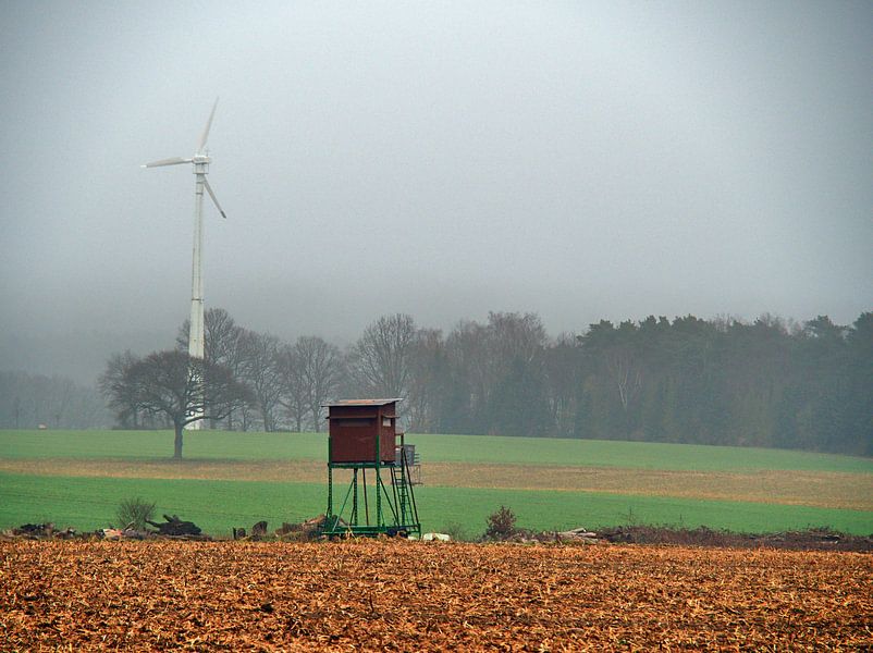 Nébuleuse par Edgar Schermaul