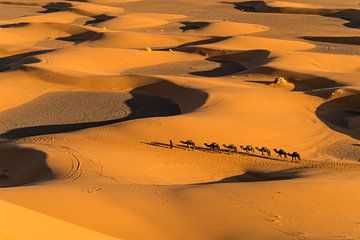 Kamelenkaravaan in de woestijn bij Merzouga, Marokko van Peter Schickert