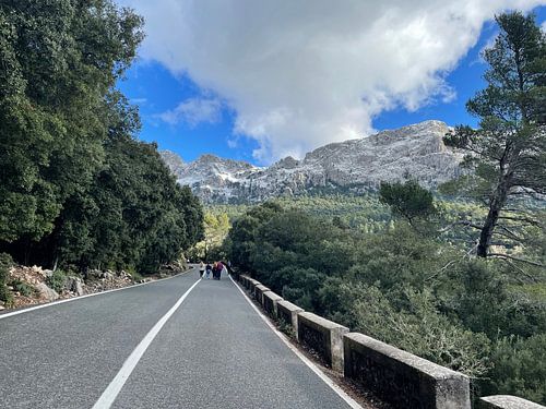 Schnee Mallorca 2021 - 28 von Sven Gonzales Poster Shop