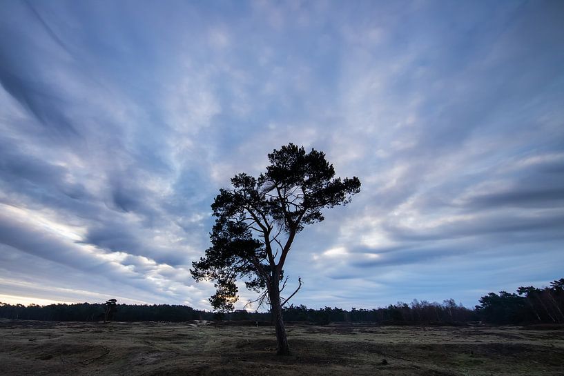 Sunrise on the Heidestein Bornia estate. by Peter Haastrecht, van