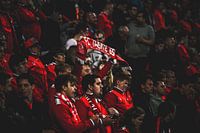 Fans van FC Twente in de Grolsch Veste