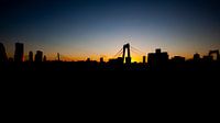 Skyline Rotterdam van Elvin Boer thumbnail