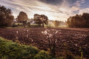 Sonnenaufgang in Wijlre