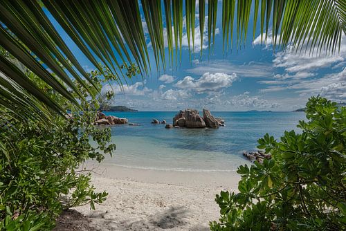 The seychelles - Praslin - Anse Boudin