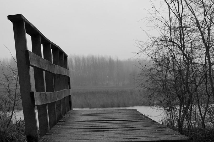 Brug by Yves Flawinne