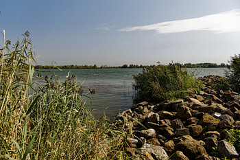 Biesbosch Merwede