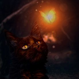 Zwarte kat kijkt naar een lichtgevende vlinder van Renate Peppenster