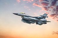 F-16 Fighting Falcon von Gert Hilbink Miniaturansicht