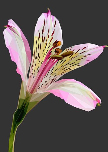 Witte Lilly met een lichte tint roze Lowpoly Abstract