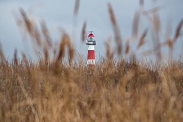 De vuurtoren van Ameland door het gras gezien van Patrick van Gemert