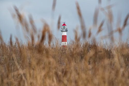 Ameland's lighthouse seen through the grass by Patrick van Gemert