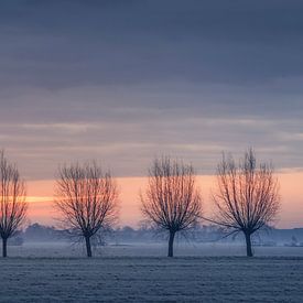 6 in a row by Erik de Jong