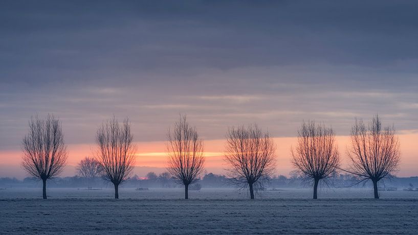6 in a row par Erik de Jong
